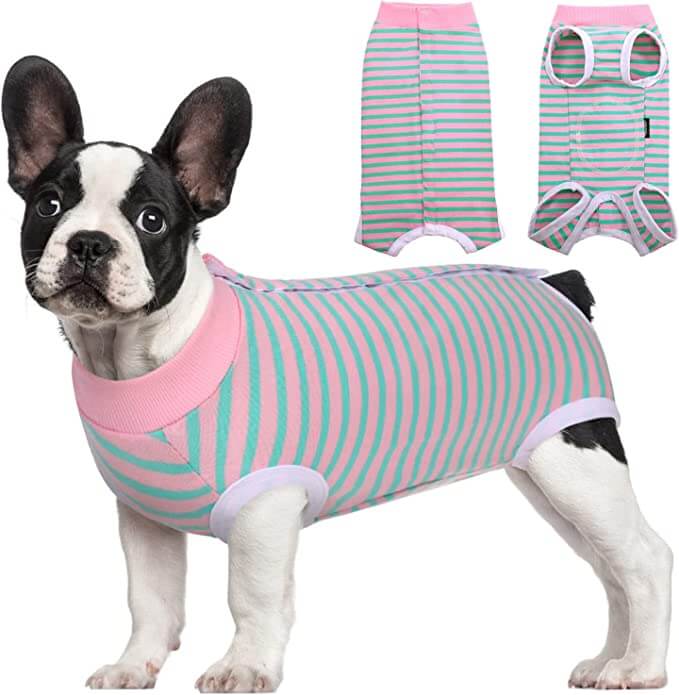 KUTKUT Kitten Puppy Recovery Suit, Surgery Recovery Suit for Female Dogs After Spay, Dog Cats Surgical Onesie with Pee Hole Collar Cone Alternative for Abdominal Wounds (Size: S, Chest: 35cm)-Clothing-kutkutstyle